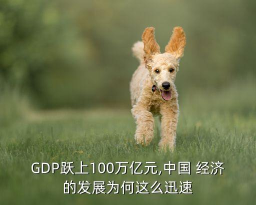 GDP躍上100萬億元,中國 經(jīng)濟的發(fā)展為何這么迅速