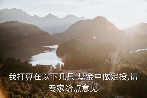 我打算在以下幾只 基金中做定投,請專家給點(diǎn)意見