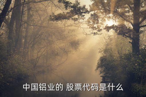 中國鋁業(yè)的 股票代碼是什么