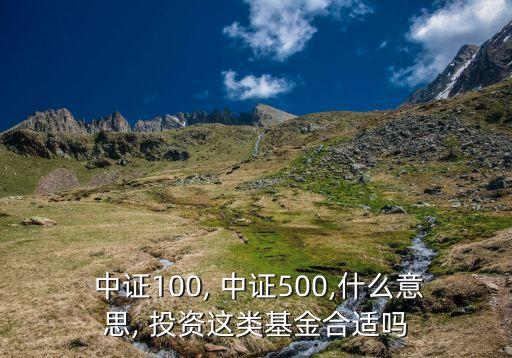  中證100, 中證500,什么意思, 投資這類基金合適嗎