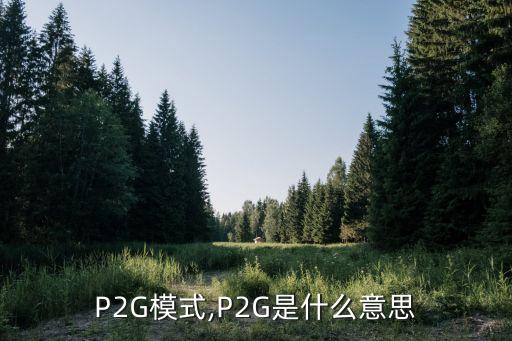 國內(nèi)p2g公司排行榜