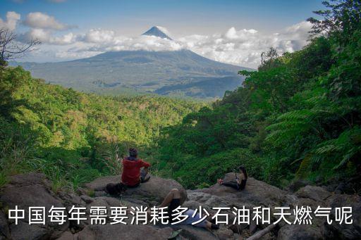 中國每年需要消耗多少石油和天燃?xì)饽? class=