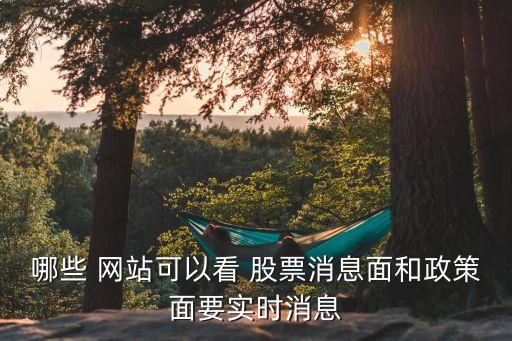 哪些 網(wǎng)站可以看 股票消息面和政策面要實(shí)時消息