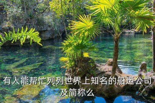 有人能幫忙列列世界上知名的船運(yùn)公司及簡(jiǎn)稱么