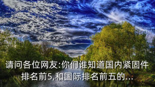 請(qǐng)問各位網(wǎng)友:你們誰知道國內(nèi)緊固件排名前5,和國際排名前五的...