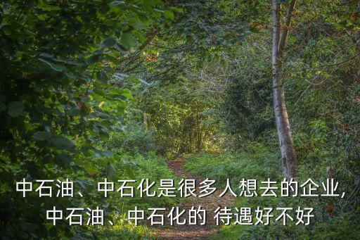 中石油、中石化是很多人想去的企業(yè),中石油、中石化的 待遇好不好