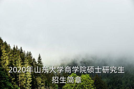 2020年山東大學(xué)商學(xué)院碩士研究生招生簡(jiǎn)章