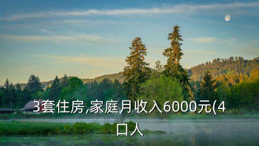 3套住房,家庭月收入6000元(4口人