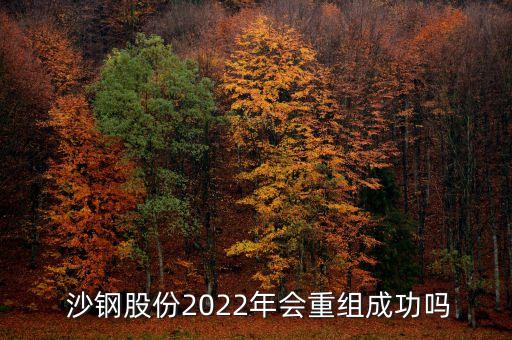  沙鋼股份2022年會重組成功嗎