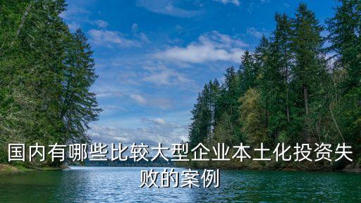 國內(nèi)有哪些比較大型企業(yè)本土化投資失敗的案例