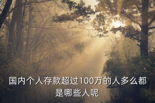 國內(nèi)個(gè)人存款超過100萬的人多么都是哪些人呢