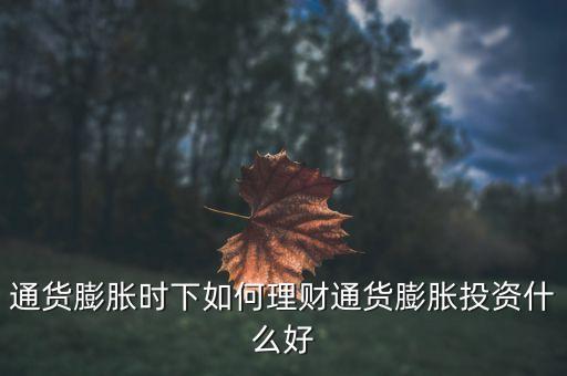 通貨膨脹時(shí)下如何理財(cái)通貨膨脹投資什么好