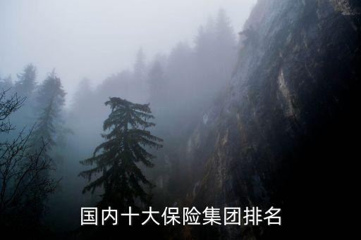 保源保險(xiǎn)有限公司,恩源保險(xiǎn)咨詢服務(wù)有限公司