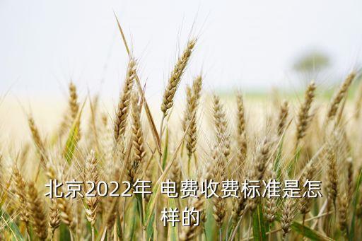  北京2022年 電費收費標準是怎樣的