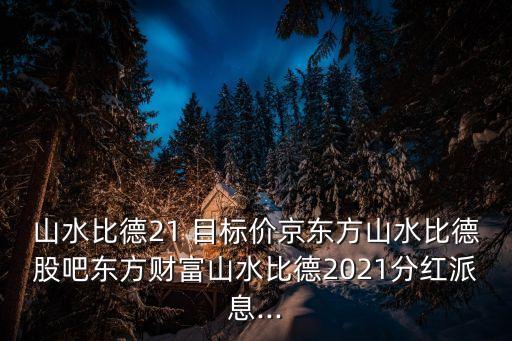 山水比德21 目標價京東方山水比德股吧東方財富山水比德2021分紅派息...