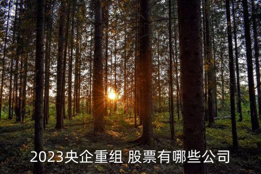 2023央企重組 股票有哪些公司