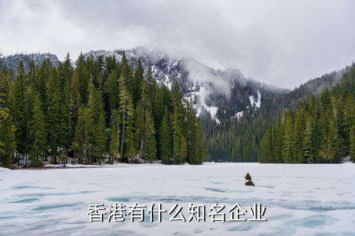 國太投資控股上海有限公司