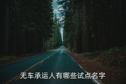 無(wú)車承運(yùn)人有哪些試點(diǎn)名字