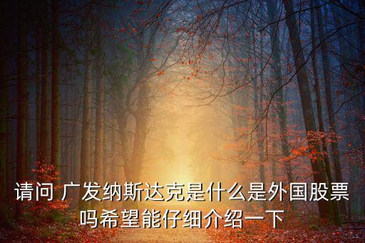 請問 廣發(fā)納斯達克是什么是外國股票嗎希望能仔細介紹一下