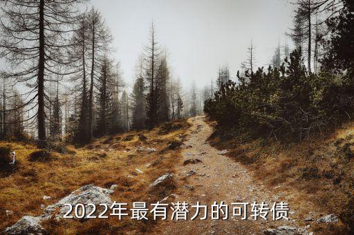 2022年最有潛力的可轉(zhuǎn)債