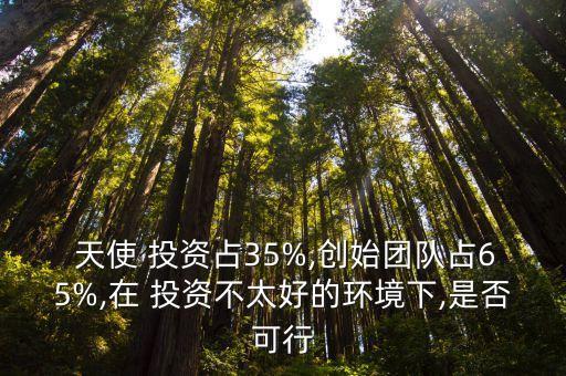  天使 投資占35%,創(chuàng)始團(tuán)隊(duì)占65%,在 投資不太好的環(huán)境下,是否可行