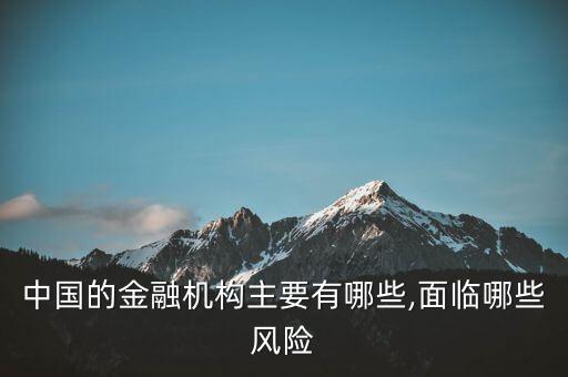 中國的金融機構(gòu)主要有哪些,面臨哪些風(fēng)險