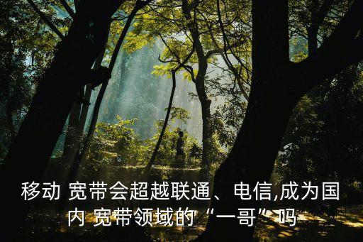 移動(dòng) 寬帶會(huì)超越聯(lián)通、電信,成為國內(nèi) 寬帶領(lǐng)域的“一哥”嗎