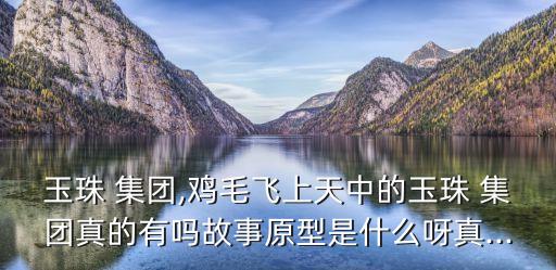 玉珠 集團,雞毛飛上天中的玉珠 集團真的有嗎故事原型是什么呀真...