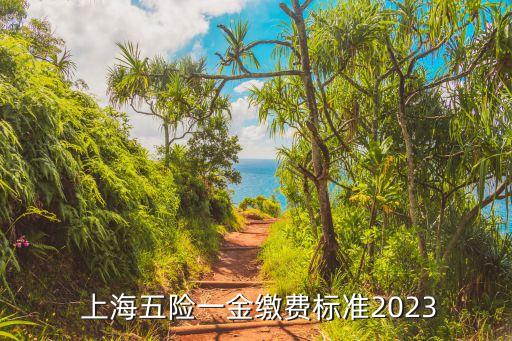  上海五險(xiǎn)一金繳費(fèi)標(biāo)準(zhǔn)2023