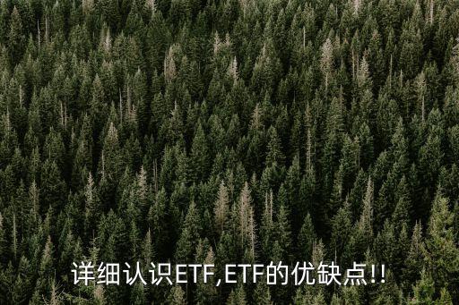 詳細(xì)認(rèn)識(shí)ETF,ETF的優(yōu)缺點(diǎn)!!