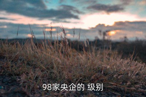 98家央企的 級(jí)別