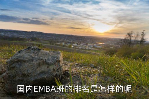 國(guó)內(nèi)EMBA班的排名是怎樣的呢