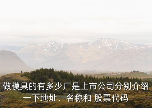 做模具的有多少廠是上市公司分別介紹一下地址、名稱和 股票代碼