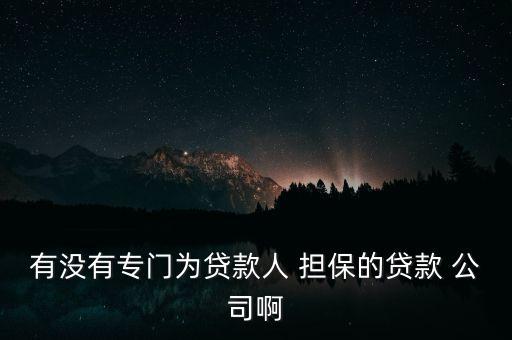 有沒有專門為貸款人 擔(dān)保的貸款 公司啊