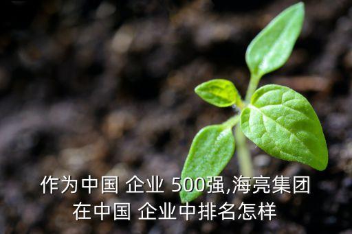 作為中國 企業(yè) 500強,海亮集團在中國 企業(yè)中排名怎樣