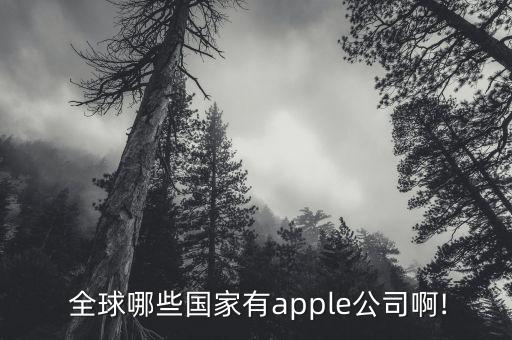  全球哪些國(guó)家有apple公司啊!