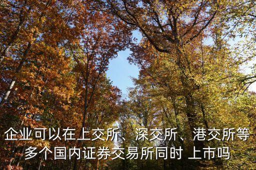 企業(yè)可以在上交所、深交所、港交所等多個國內(nèi)證券交易所同時 上市嗎