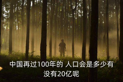 中國再過100年的 人口會是多少有沒有20億呢