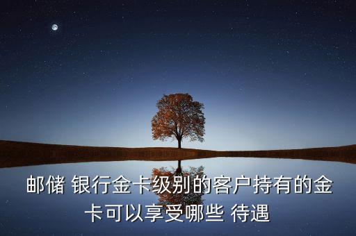  郵儲(chǔ) 銀行金卡級(jí)別的客戶持有的金卡可以享受哪些 待遇