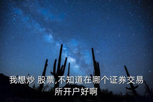 我想炒 股票,不知道在哪個證券交易所開戶好啊