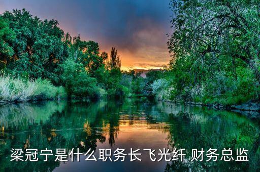 梁冠寧是什么職務(wù)長(zhǎng)飛光纖 財(cái)務(wù)總監(jiān)