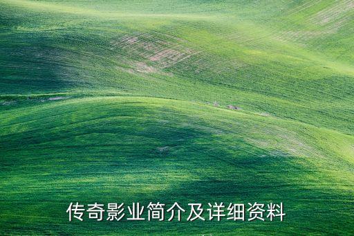 傳奇影業(yè)簡(jiǎn)介及詳細(xì)資料