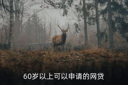 60歲以上可以申請的網(wǎng)貸