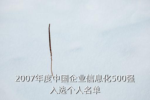 2007年度中國企業(yè)信息化500強(qiáng)入選個(gè)人名單