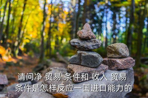 中國收入貿(mào)易條件,收入轉(zhuǎn)移對貿(mào)易條件的影響