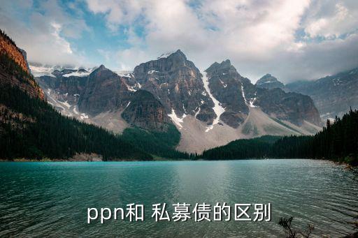 ppn和 私募債的區(qū)別