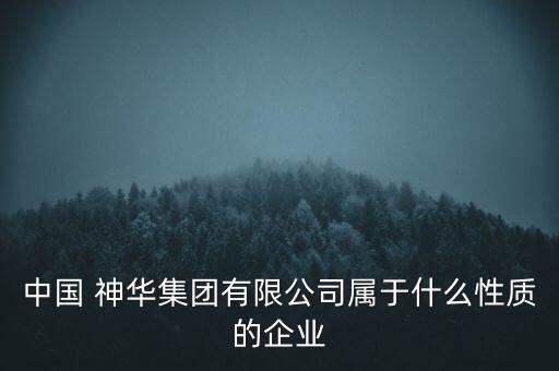 中國 神華集團(tuán)有限公司屬于什么性質(zhì)的企業(yè)