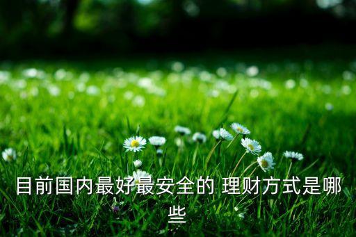 目前國內(nèi)最好最安全的 理財方式是哪些