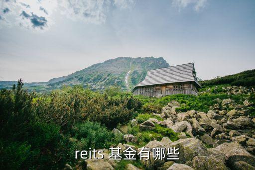 reits 基金有哪些