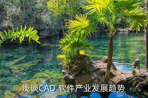 淺談CAD 軟件產(chǎn)業(yè)發(fā)展趨勢